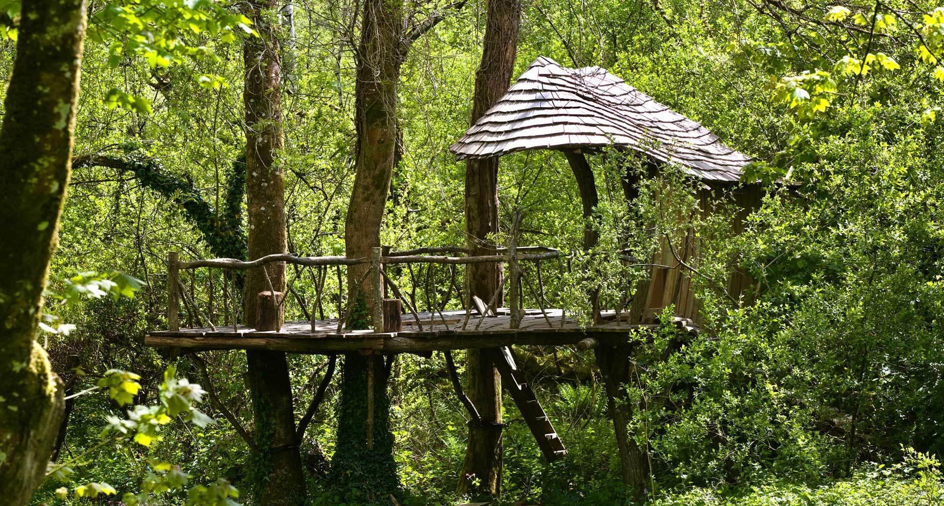 TREEHOUSE