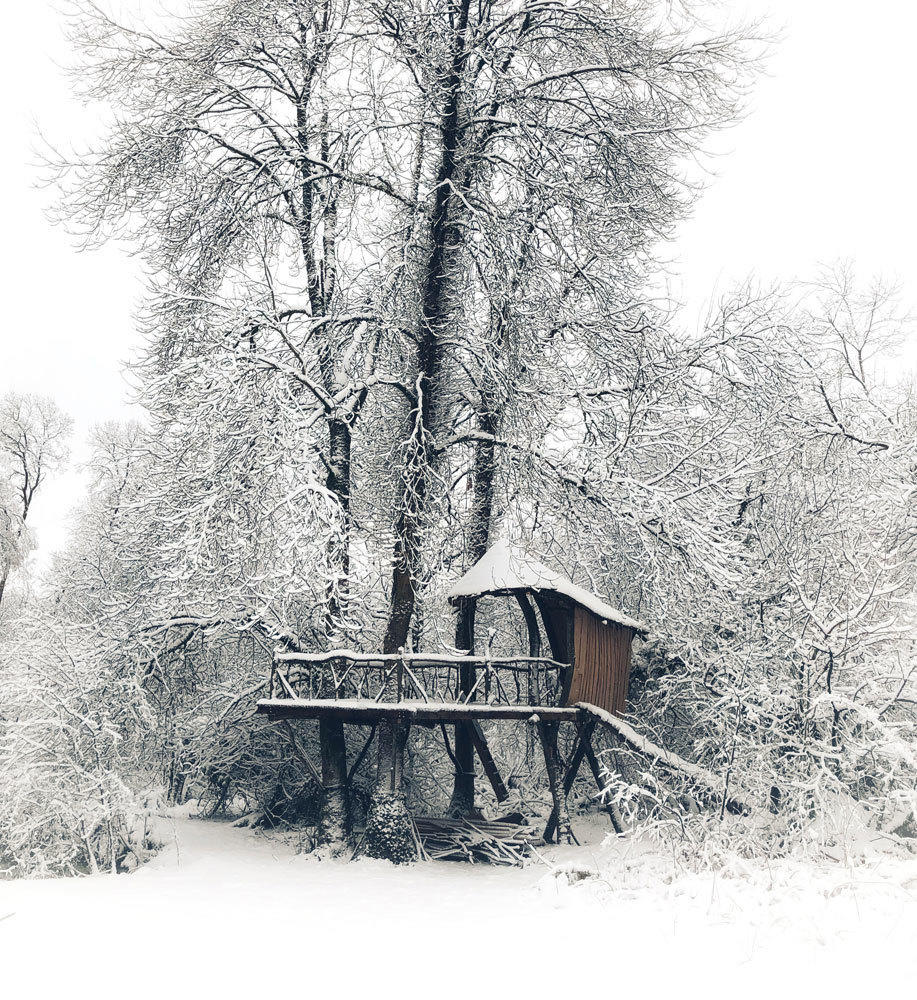 Shingle Covered Shelter