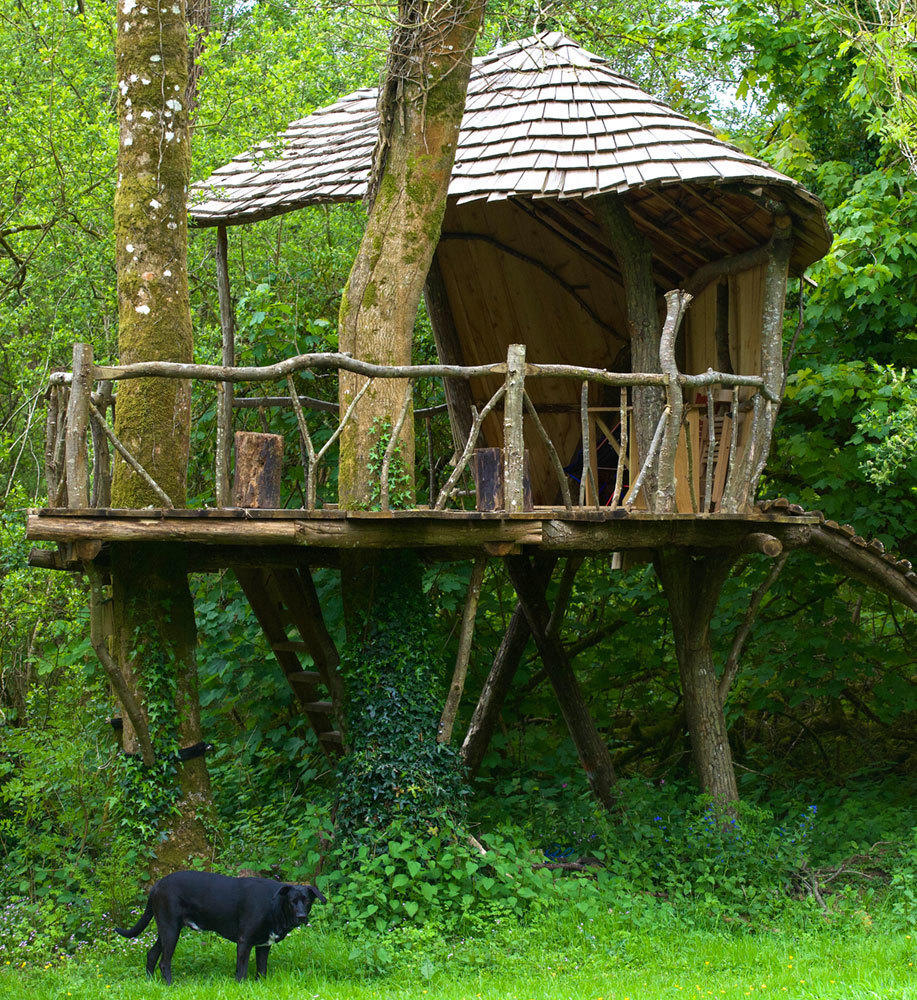 Dartmoor Woodland Treehouse